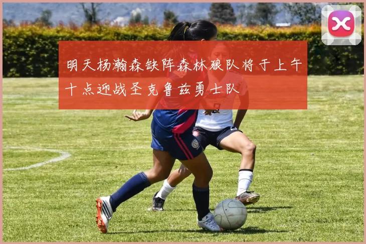 明天杨瀚森缺阵森林狼队将于上午十点迎战圣克鲁兹勇士队